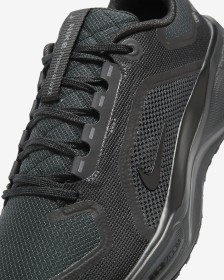 Nike Pegasus 41 GORE-TEX