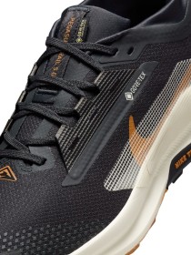 Nike Pegasus Trail 5 GORE-TEX
