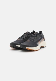 Nike Pegasus Trail 5 GORE-TEX