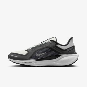 Nike Pegasus 41 GORE-TEX Gray White