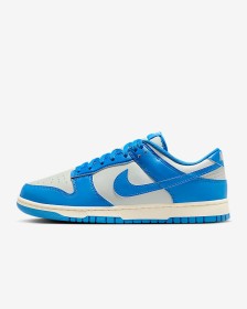 Nike dunk white blue